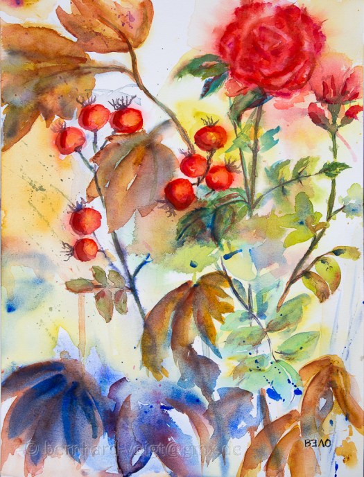 Herbststimmung mit Hagebutten II - Autumn mood with rose hips II