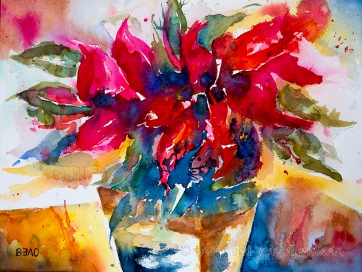 Weinnachtsstern I - Poinsettia I