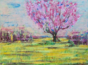 Farbenpracht der Magnolie - Burst of Magnolia colour